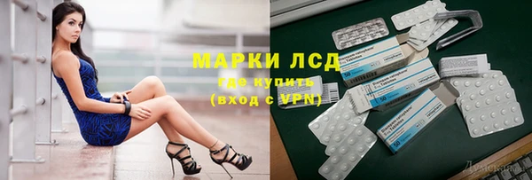 сатива Володарск