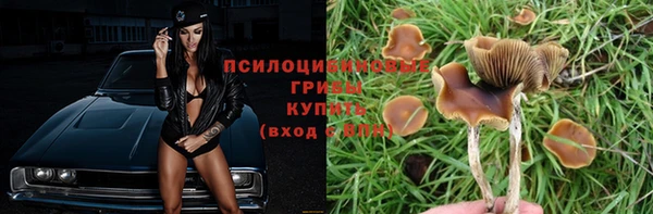 сатива Володарск